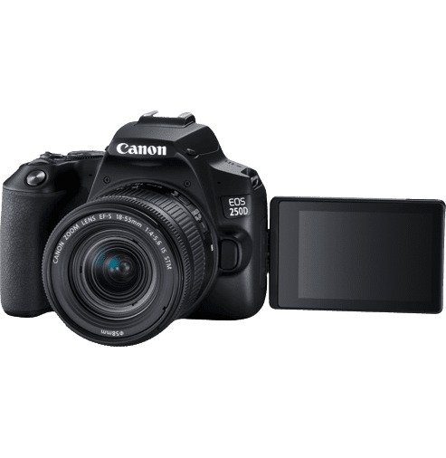 CANON D.CAM EOS 250D BLACK 18-55 S CP EU26 (3454C002AA) - Gtel CANON D.CAM EOS 250D BLACK 18-55 S CP EU26 (3454C002AA)-5