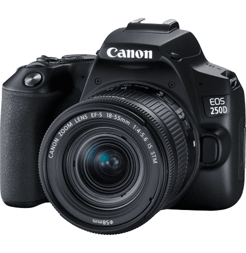 CANON D.CAM EOS 250D BLACK 18-55 S CP EU26 (3454C002AA) - Gtel CANON D.CAM EOS 250D BLACK 18-55 S CP EU26 (3454C002AA)-2