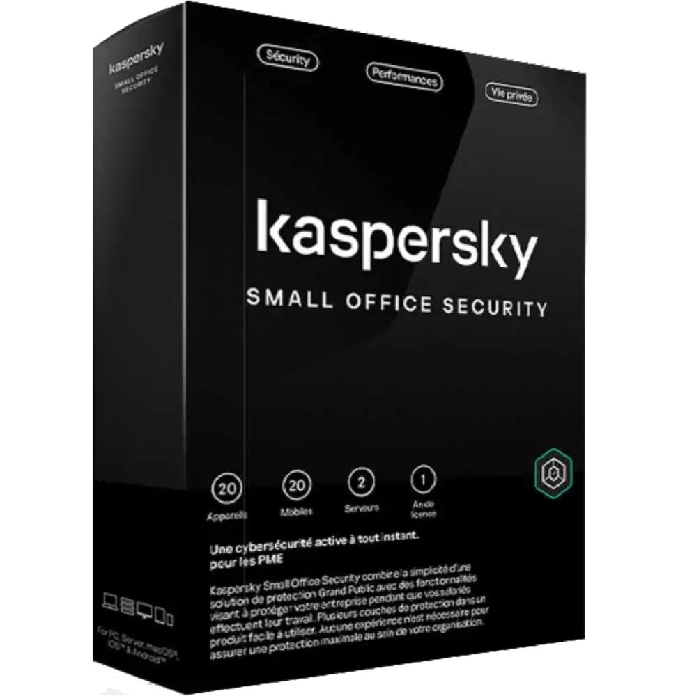 kaspersky small office security 20 postes 2 serveurs kl45418bnfs 23mag